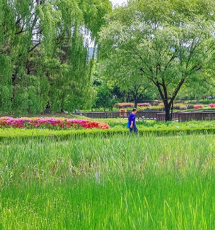 서울 핫플레이스&amp;#44; 서울에디션25