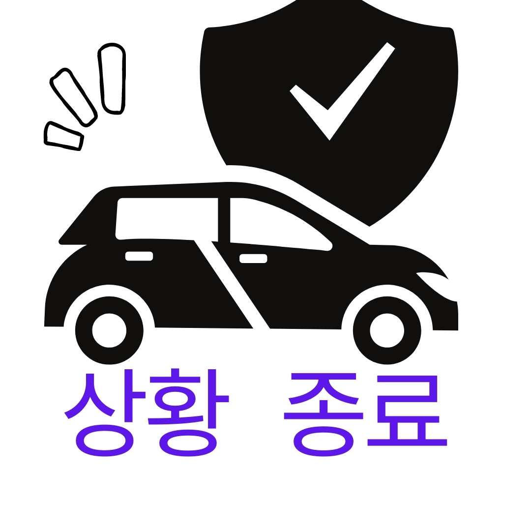 급발진 대처법