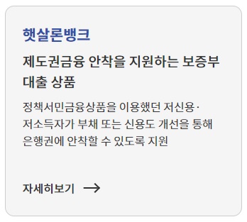 저신용자 정부지원 대출