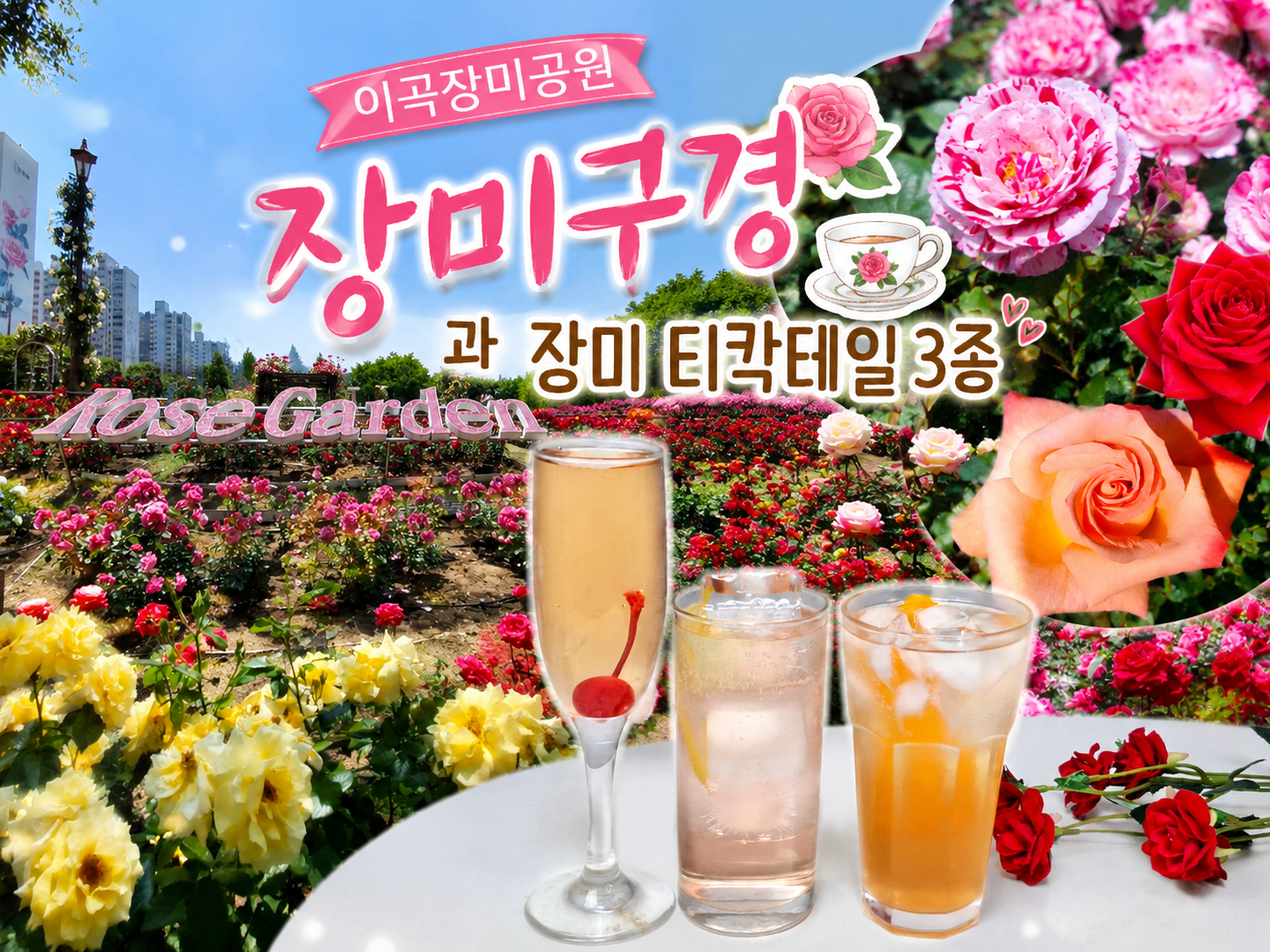 장미