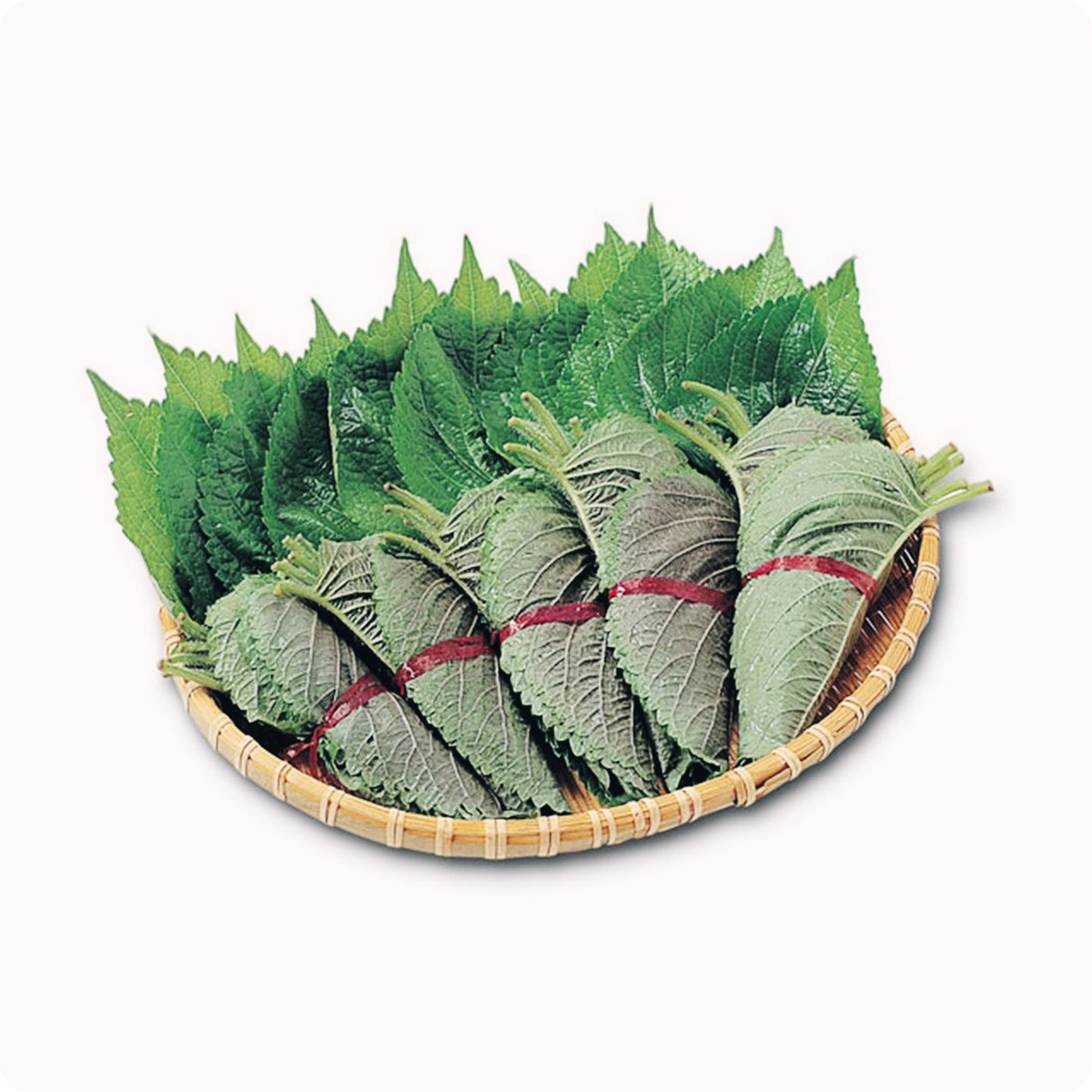 깻잎-효능