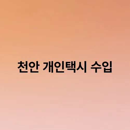 천안 개인택시 수입