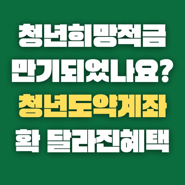 청년희망적금 만기 후 청년도약계좌로? 2024년 달라진 혜택 정리