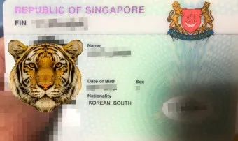 싱가포르 비자 신청 방법 정확하게 알아두기를 위한 체크_2