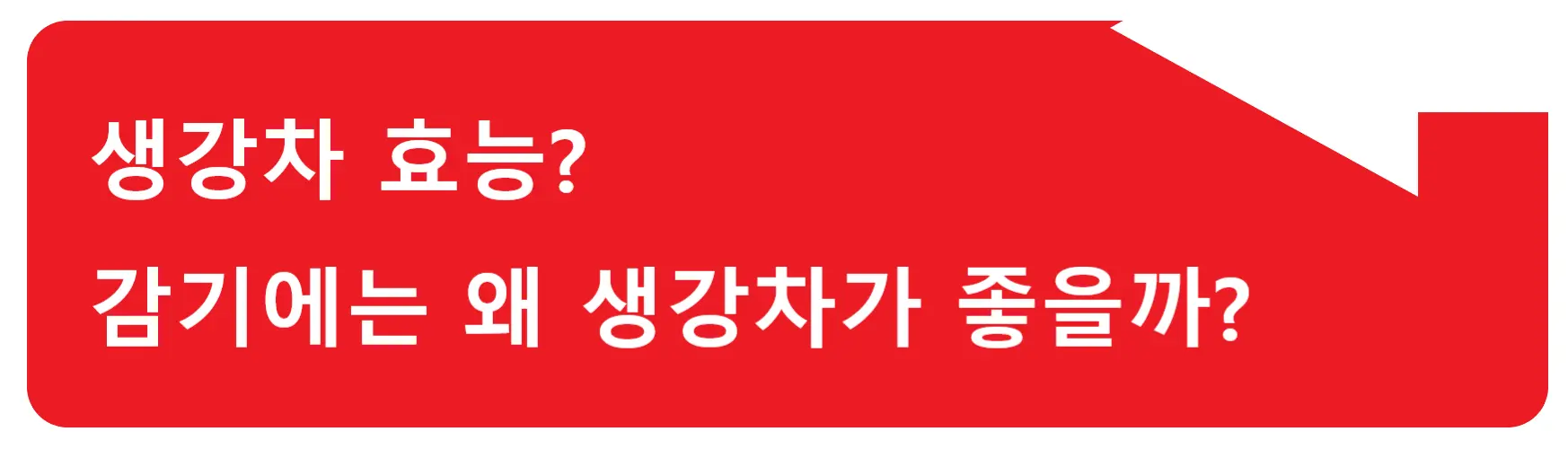 캐모마일 카페인? 카페인 걱정되는 분들은 캐모마일 어때요?