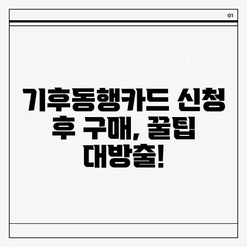기후동행카드 신청 후 구매, 꿀팁 대방출!