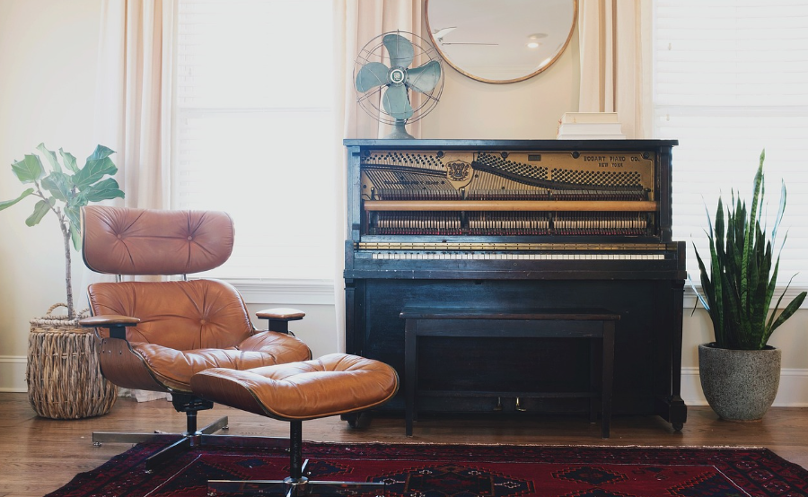 풍수지리와 식물 인테리어