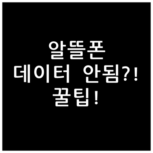 알뜰폰 번호이동 후 데이터 안 됨 문..