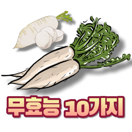 무효능 10가지