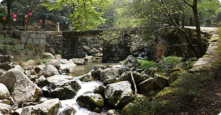 산지승원 관련사진
