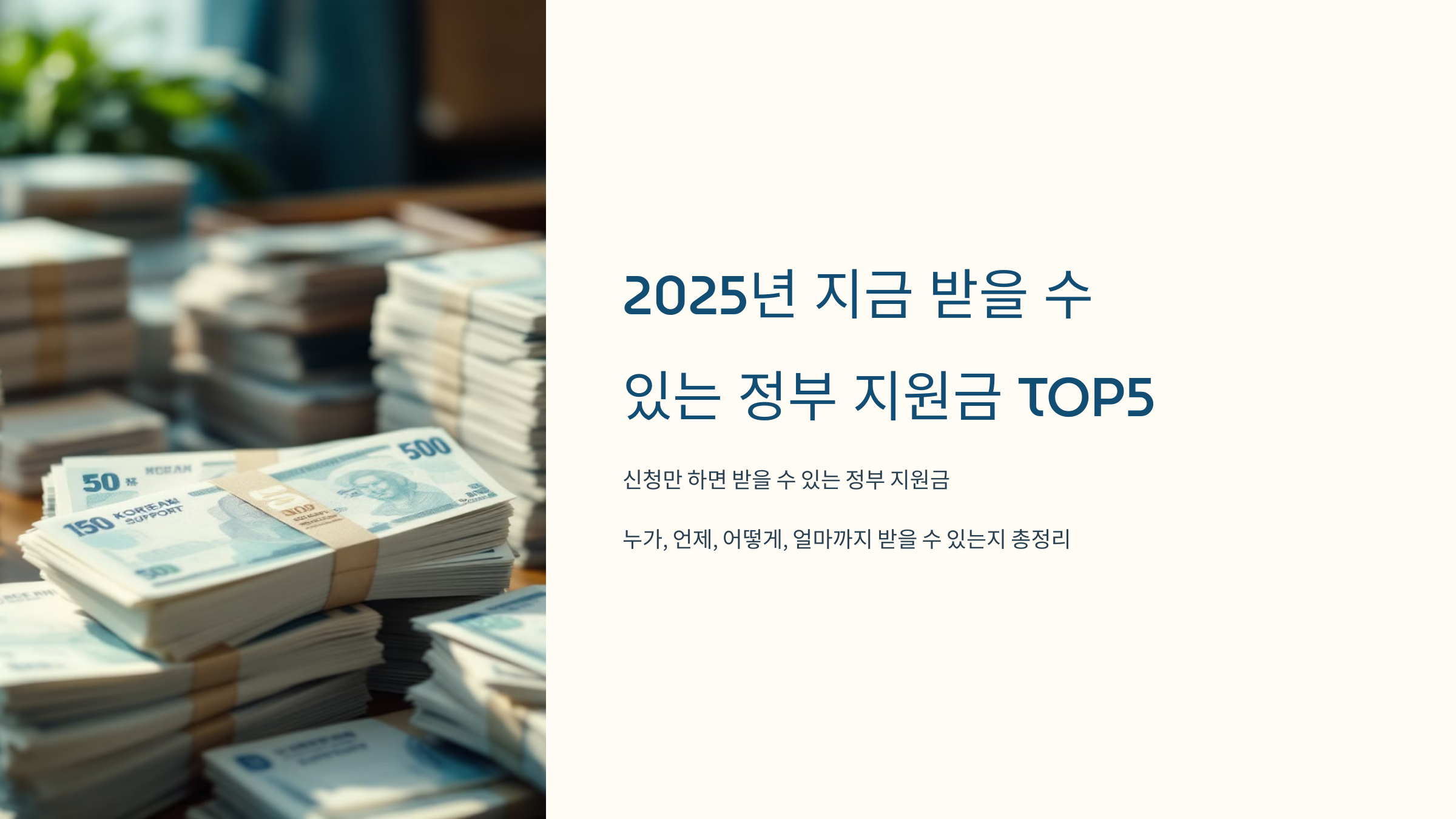 2025년 지금 받을 수 있는 정부 지원금 TOP5