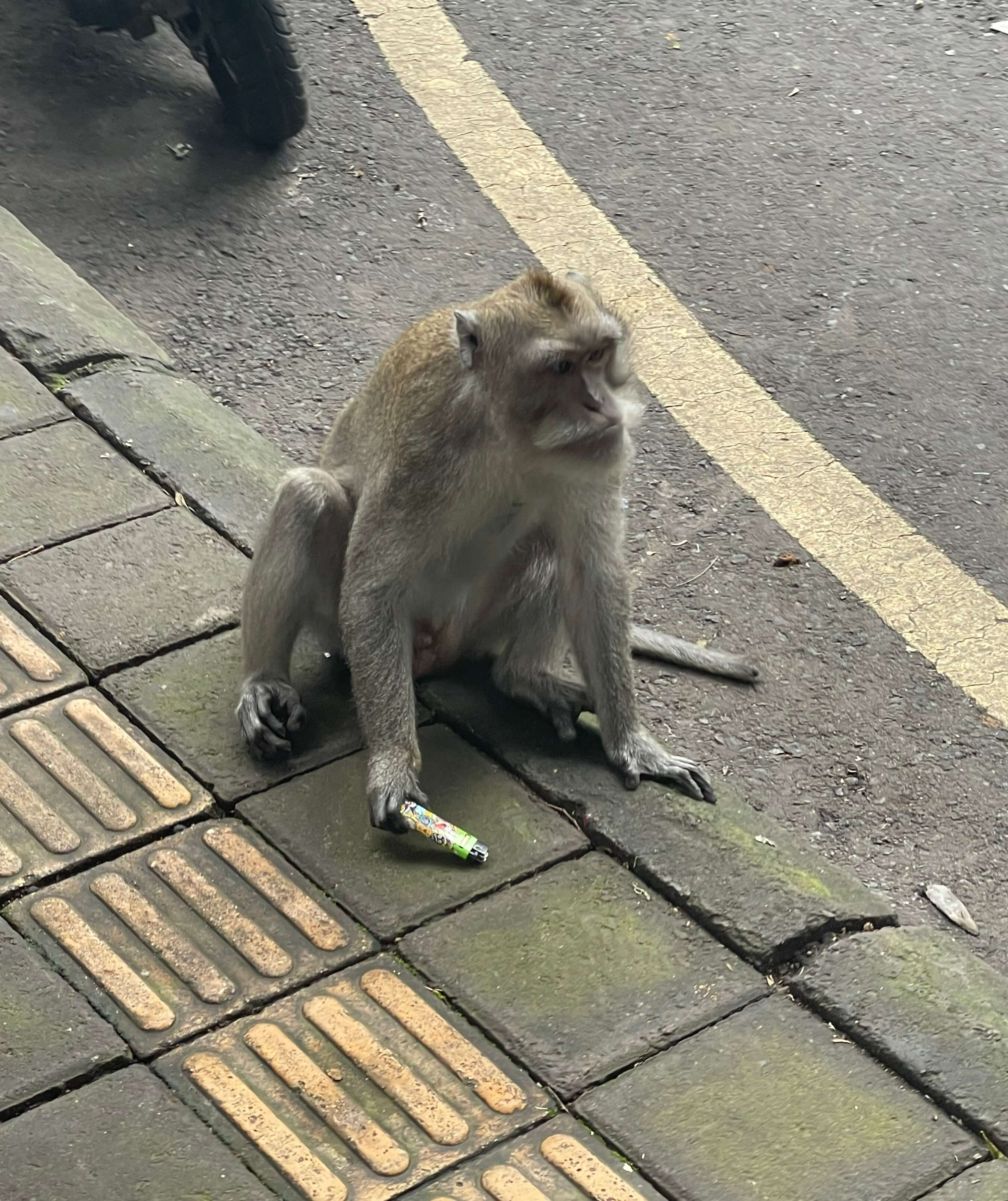 발리 우붓 여행