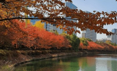 2023 단풍열차기차여행추천