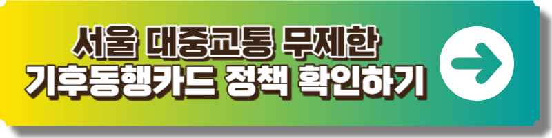 서울 대중교통 무제한 기후동행카드 서비스 안내