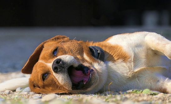 만성피로 해결법 및 예방법