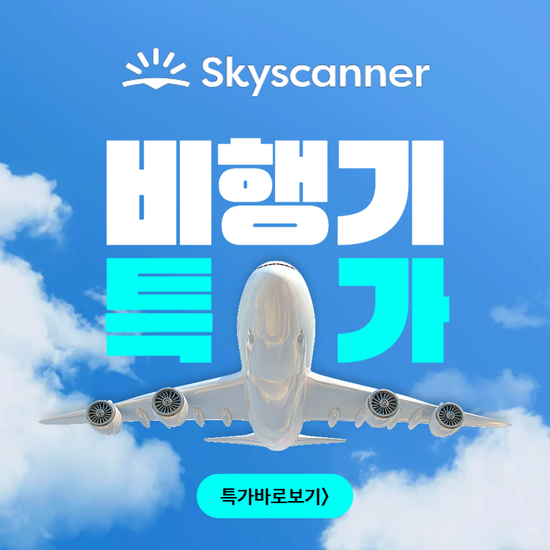 스카이스캐너