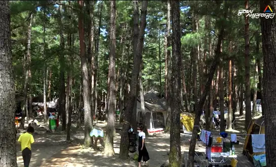 capture-20250703-170041