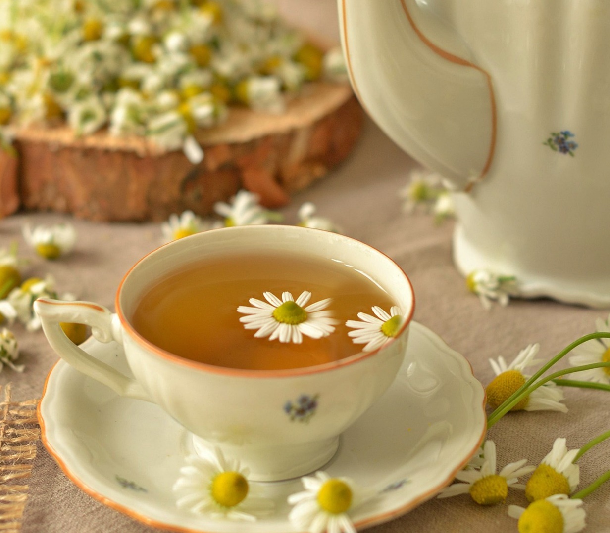 당화혈색소 6.0, 당뇨 아닙니다? "지금이 마지막 관리 타이밍"