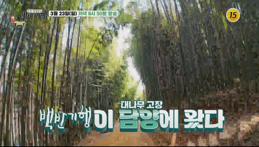 백반기행 담양 우렁쌈밥 곰보배추 맛집