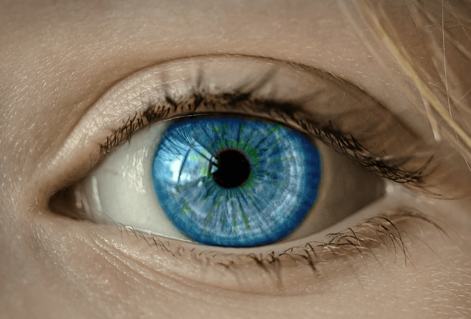 눈에 좋은 음식