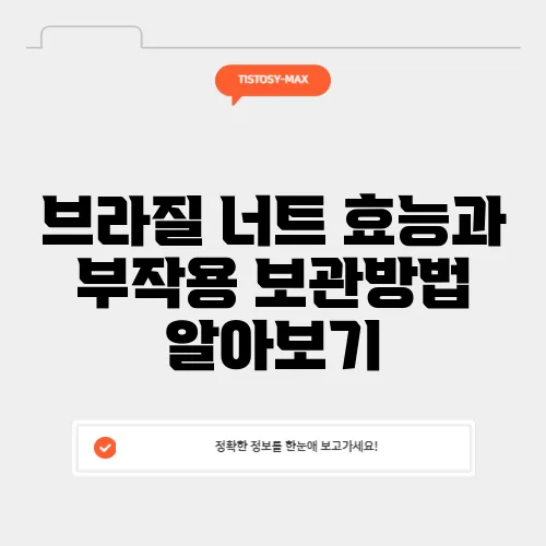 브라질 너트 효능과 부작용 보관방법 알아보기