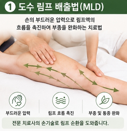 도수 림프 배출법