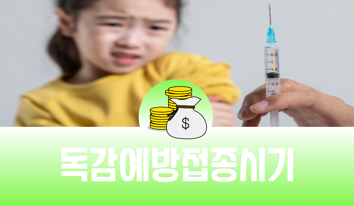 독감 예방 접종 시기