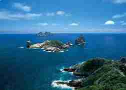 발왕산 케이블카 티켓 3분 완벽 구매법