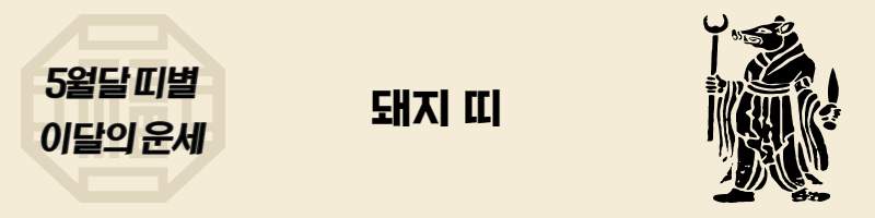 5월-돼지띠-운세