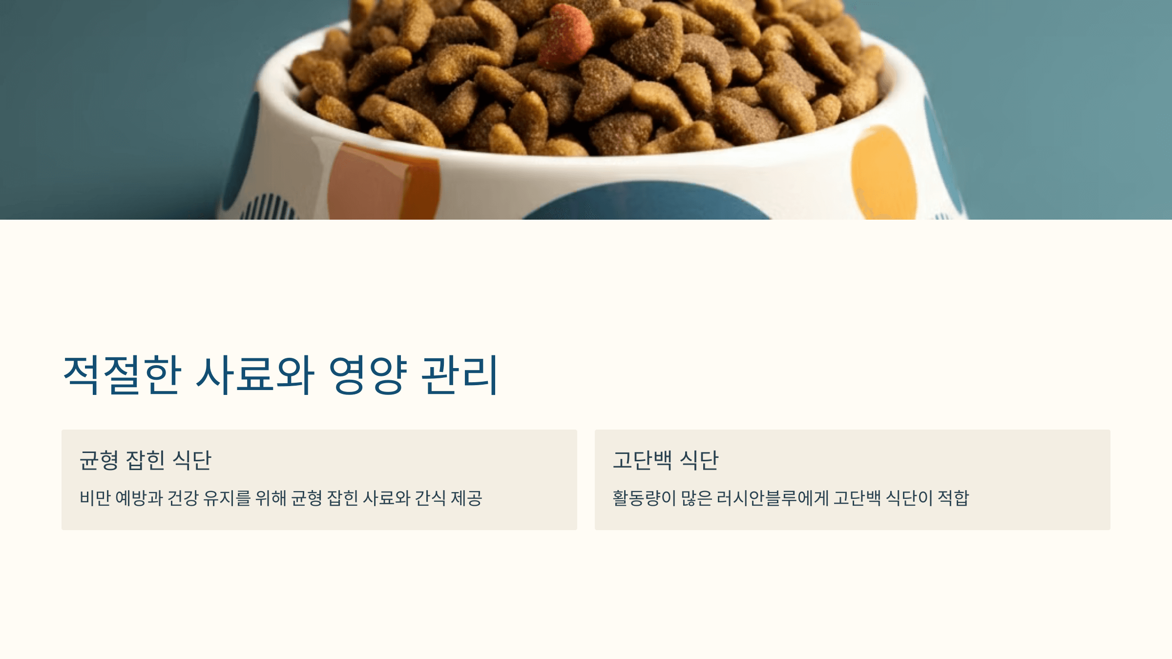 러시안블루 고양이 사진입니다.