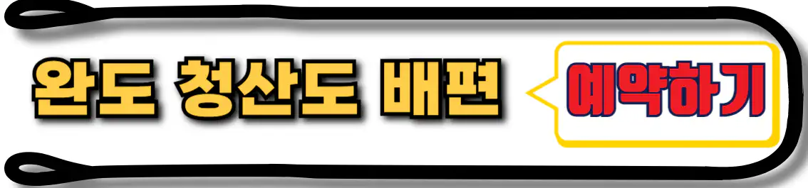 완도 청산도 배편 예약