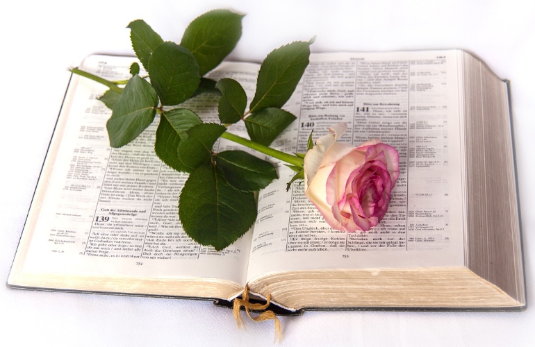 6월 셋째주 수요예배 대표기도문