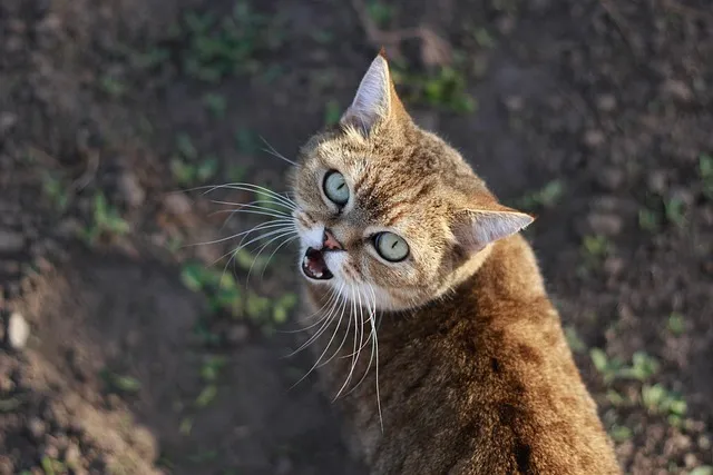 노래로 배우는 일본어 I love you 오자키 유타카 포지션 I Love You 일본원곡 가사 독음 번역 단어정리로 안내_9