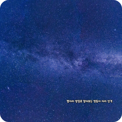 생일 별자리로 알아보는 쌍둥이자리 성격