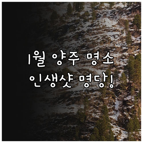 1월 서울 근교 나들이 양주 명소 정..