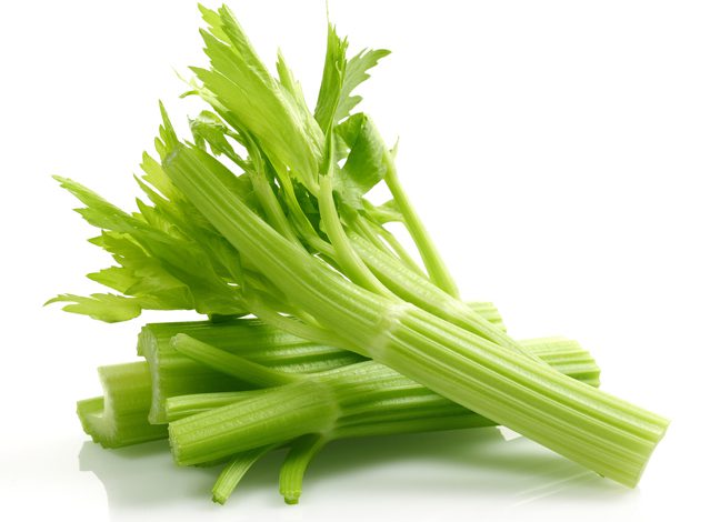 다이어트 음식 : 셀러리