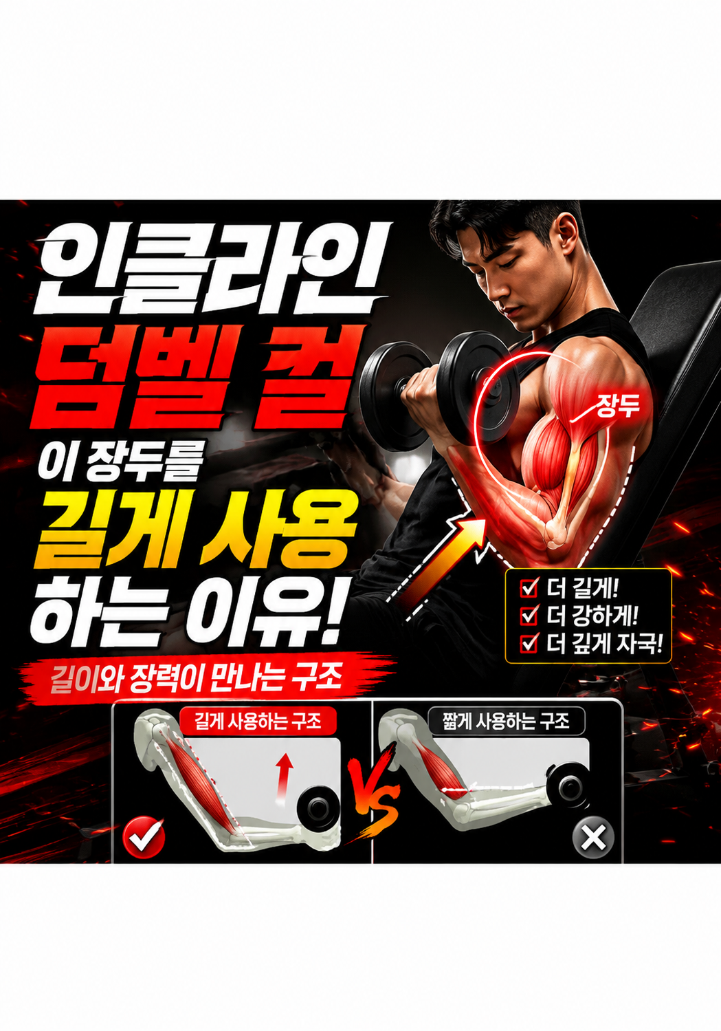 인클라인 덤벨 컬이 장두를 길게 사용하는 이유