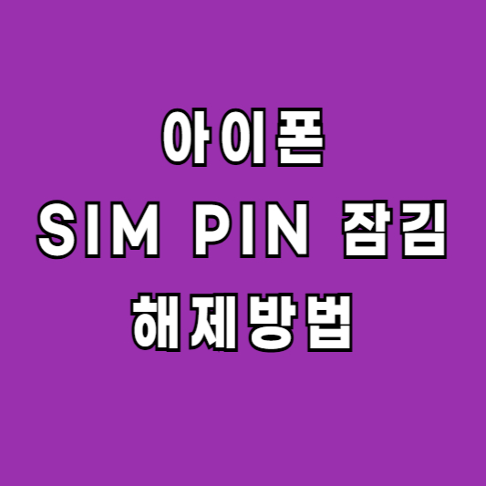 아이폰 SIM PIN 잠김 해제 해결