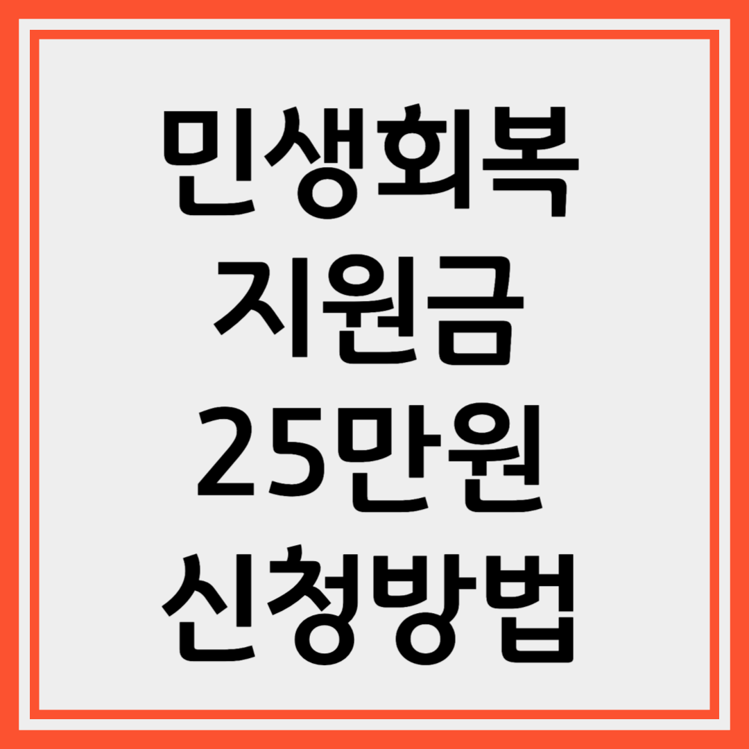2025년 민생회복지원금 25만원 신청하기 사용처 확인