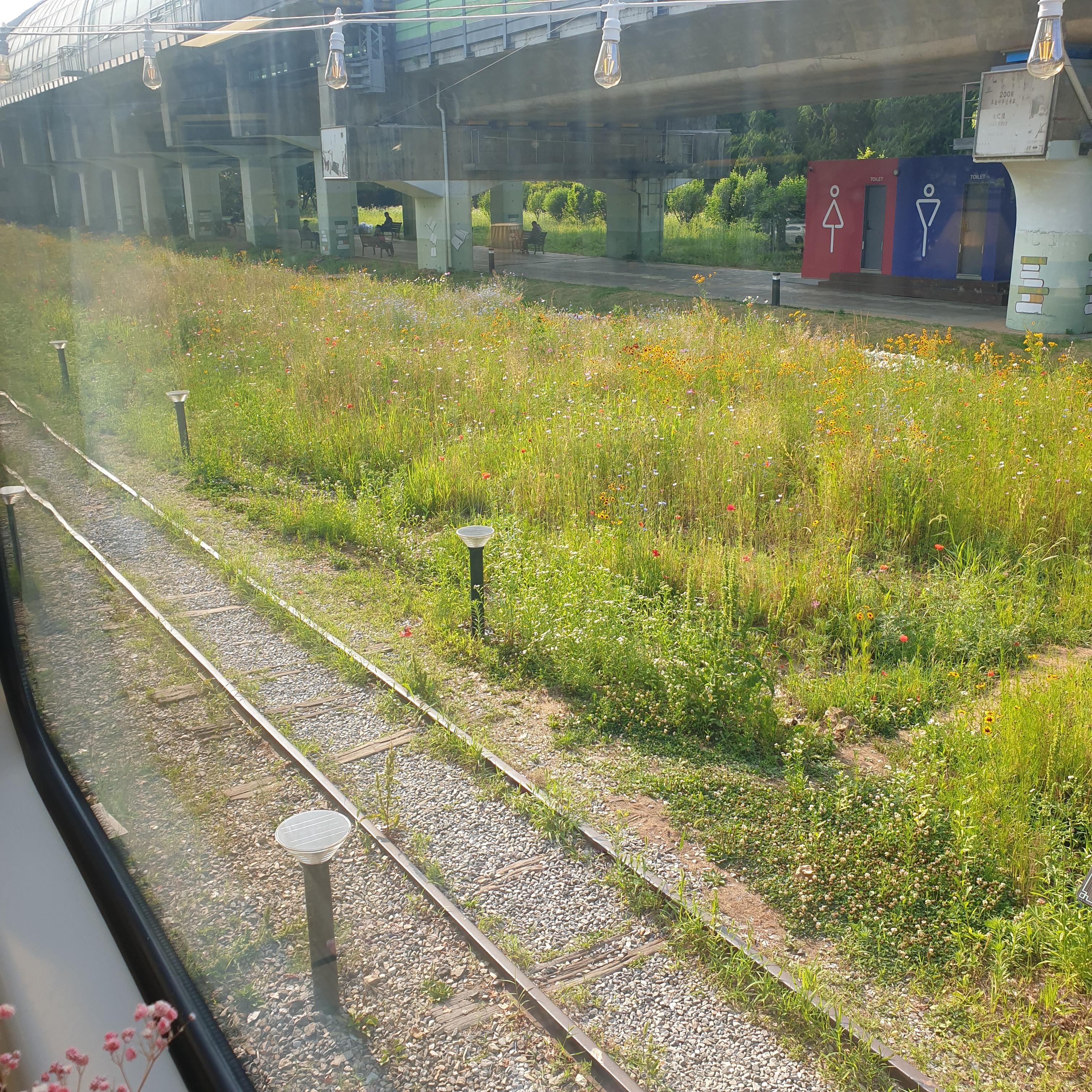 들꽃이 가득 핀 기찻길