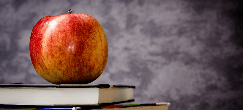 눈에 좋은 과일 사과