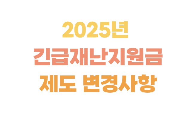 2025년 긴급재난지원금 제도 변경사항