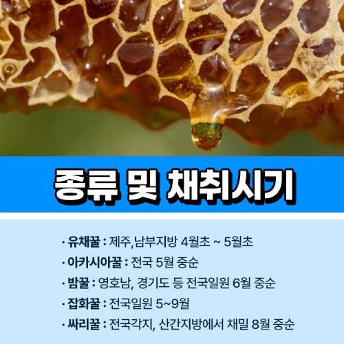토종벌꿀 종류