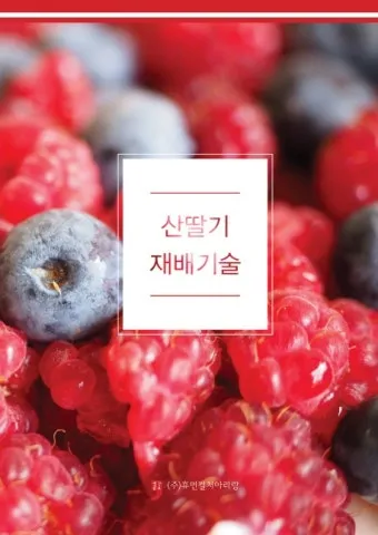 산딸기 재배 번식 방법 포트 묘 심기 잡초 관리_7