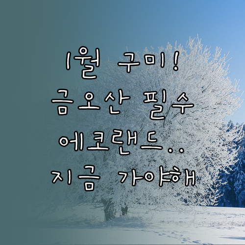 1월 구미 가볼만한곳 TOP 5 추천..