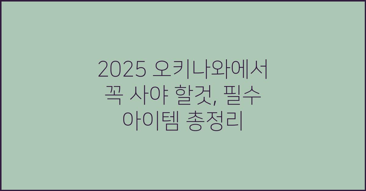 2025 오키나와에서 꼭 사야 할것