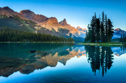 산림청 홈페이지 바로가기 https://www.forest.go.kr/