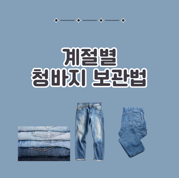 계절별 청바지 보관법