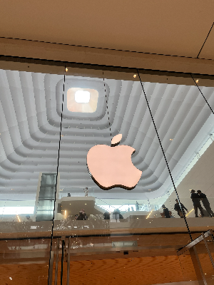 초등학생도 이해하는 투자 교육 방법