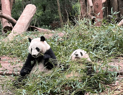 "중국 비자 면제," "한국인 중국 여행," "중국 여행지 추천," "중국 관광 팁," "2024 중국 여행"